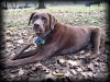Tucker—RIP